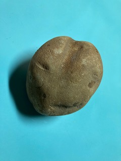 Meditation on a Potato